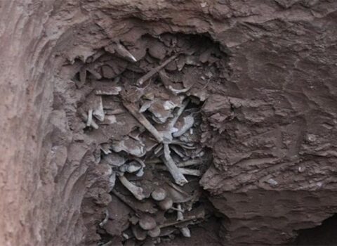 Quba rayonunda daha bir kütləvi məzarlıq aşkar edildi