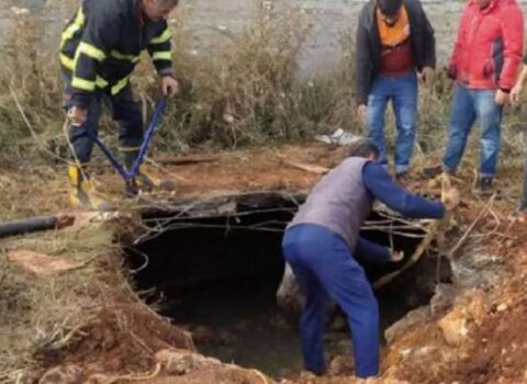 Kəndin altından gələn səs sakinləri qorxuya saldı: Torpağı qazanda gördülər ki… – FOTOLAR
