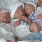 Masallıda üçəm dünyaya gəldi