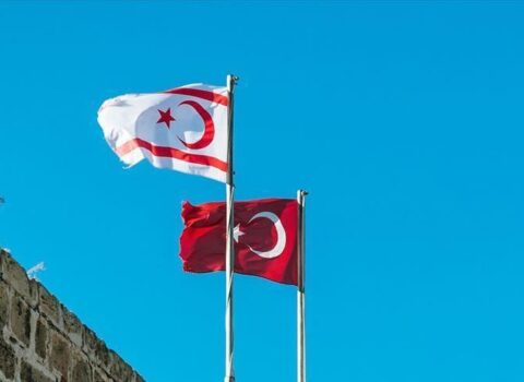 Onların istəyi Türkiyəni Kiprdən qovmaqdır – Tatar