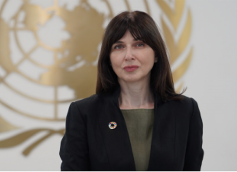 BMT rəsmisi Azərbaycan Prezidentini təbrik etdi