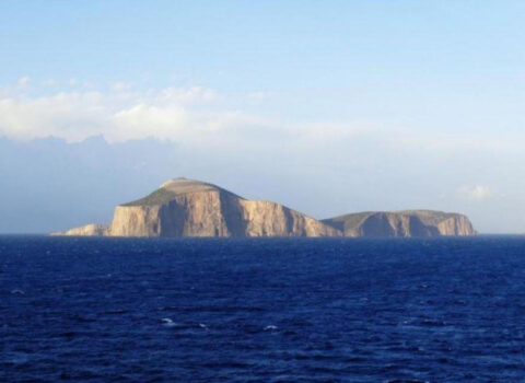 Adanın yeganə sakini olan qadın peyvənd olundu