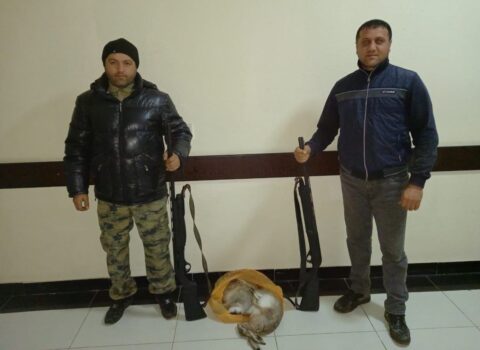 Cəlilabadda qanunsuz ov edənlər paytaxt sakinləri saxlanıldı