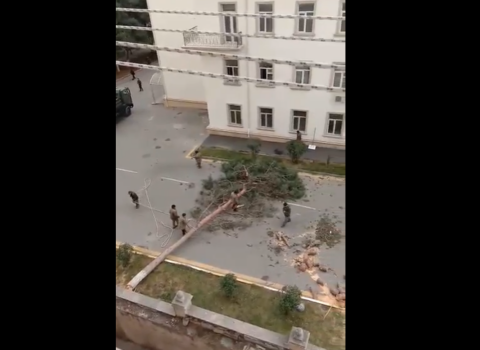 MN-in Mərkəzi Hərbi Hospitalının həyətindəki ağacları kəsdilər – VİDEO