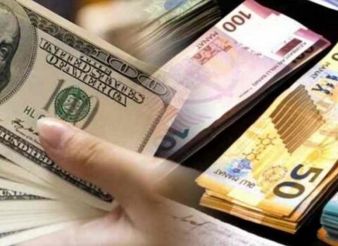 İqtisadçıdan ETİRAZ: “Sabit məzənnəni qorumaq üçün bir ildə 12 milyard dollar xərclədiniz”