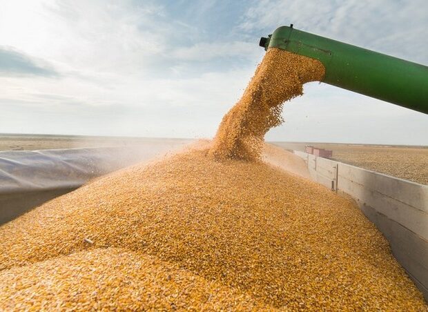 Rusiyadan Ermənistana Azərbaycandan keçməklə taxıl göndərilib