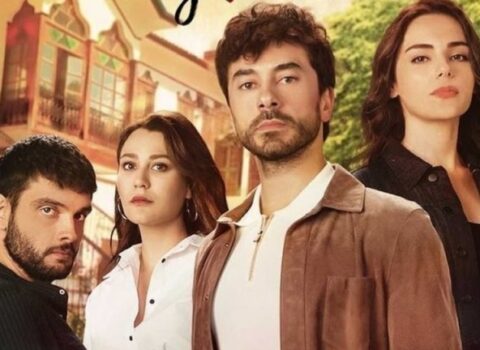 Bu serial da final edir