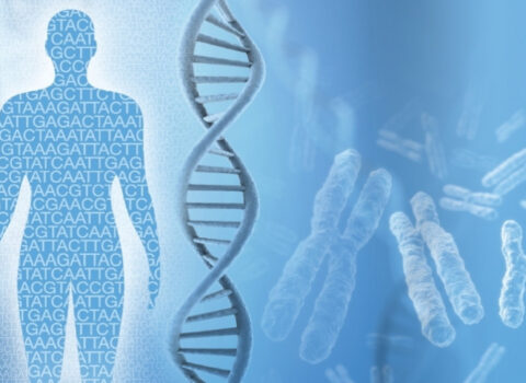 Cinayətkarların xarici görünüşünü DNT əsasında təyin edəcəklər – FOTO