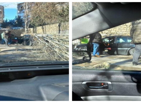 Bakının mərkəzində külək ağacı aşırdı: 2 maşın zədələndi – FOTO