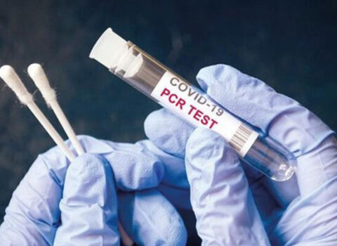 Gürcüstana giriş üçün PCR testi LƏĞV EDİLDİ