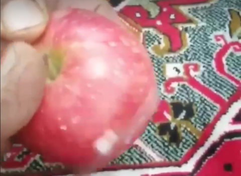 Altı dövlət İranın kənd təsərrüfatı məhsullarını geri qaytardı – SƏBƏB + ŞOK VİDEO