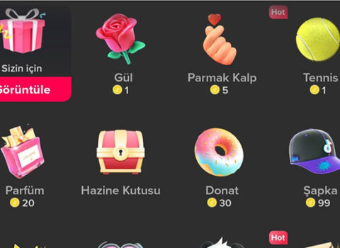 “TikTok insanları canlı yayımda meymuna çevirir” – Yeni dilənçilik növü