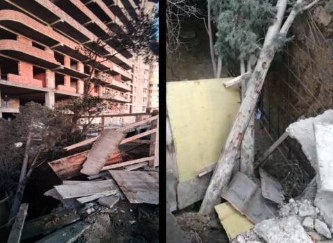 “Ağacların aşması ilə bağlı araşdırma aparılır” – ETSN