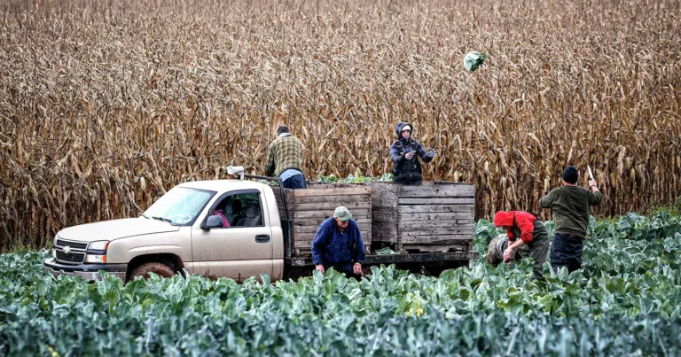 Gübrə bahalaşır: Bazarlarda bahalaşma olacaq?