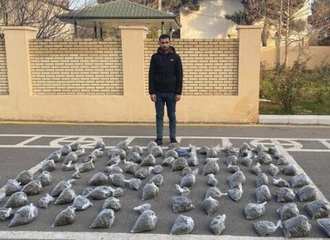 Salyan sakininin evindən 10 kq marixuana çıxdı – FOTO