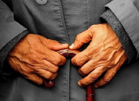 Yaşlılar üçün ən yaxşı şirniyyat: Sümükləri gücləndirir, qan təzyiqini aşağı salır