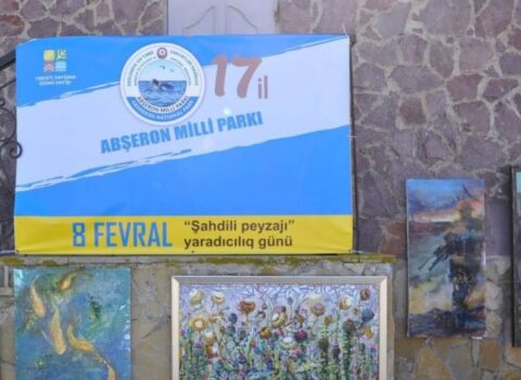 Abşeron Milli Parkında “Şahdili peyzajı”