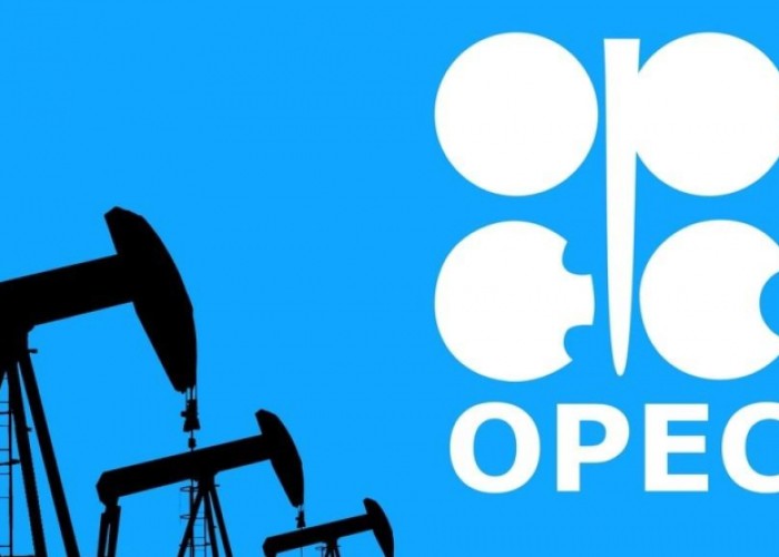 OPEC Azərbaycanla bağlı proqnozunu açıqladı