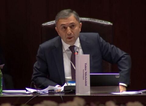İrəvanda azərbaycanlı deputat Avronest PA-nın Enerji Təhlükəsizliyi Komitəsinin SƏDRİ SEÇİLDİ