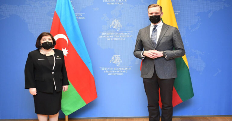 Sahibə Qafarova Litvanın xarici işlər naziri ilə görüşdü Sahibə Qafarova Litvanın xarici işlər naziri ilə görüşdü