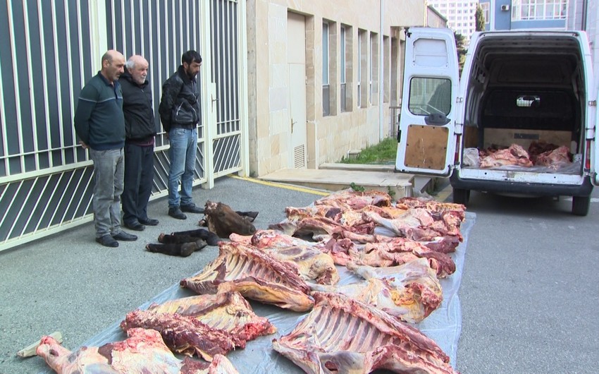 Yararsız 4 ton at və mal əti satan şəxslər ələ keçdi - VİDEO