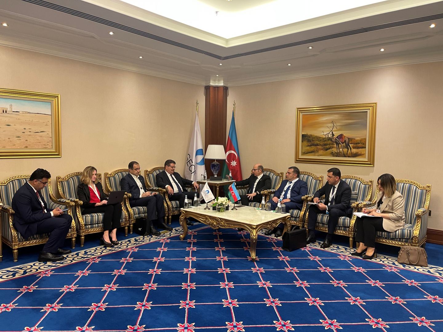 Qətərlə Laçın və Kəlbəcərdə külək elektrik stansiyalarının tikintisi müzakirə edildi - FOTO