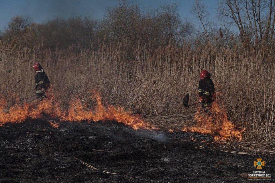 Lökbatanda 5 ha qamışlıq ərazi yanıb - VİDEO