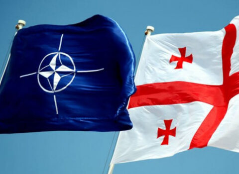 Martın 20-də Gürcüstan – NATO hərbi təlimləri başlayacaq