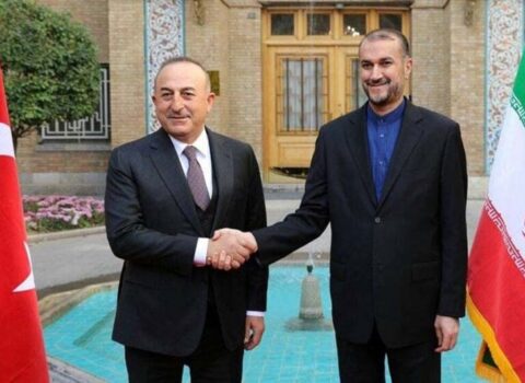 Çavuşoğlu və Abdullahian Ukraynanı MÜZAKİRƏ ETDİLƏR