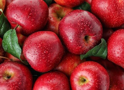 Qubada tonlarla alma niyə çaya axıdılır? – FOTO / VİDEO