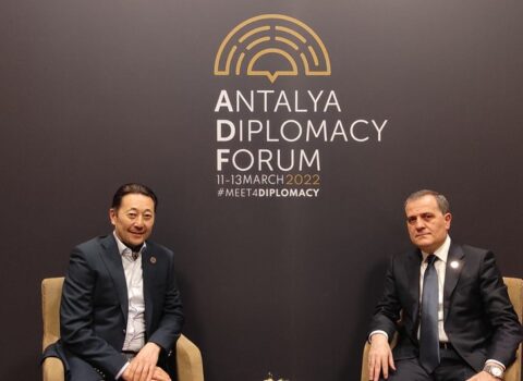 Azərbaycan XİN başçısı AQEM-in icraçı direktoru ilə görüşdü