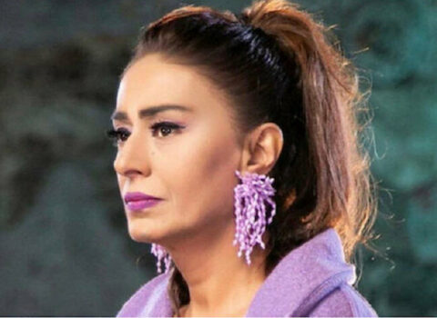 Məşhur müğənnidən gözlənilməz TƏKLİF: “Küçədəki itlərə zəhərli ət verin”