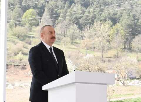 Dövlət başçısı: “Ana dili əsas faktordur, ana dili bütün Azərbaycan vətəndaşlarını birləşdirir”