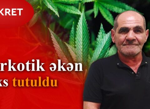 Həyətində narkotik əkən şəxs belə saxlanıldı – VİDEO