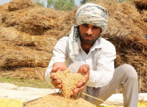 Hindistan və Pakistanda kəskin istilər dünyada TAXIL QITLIĞINA SƏBƏB OLACAQ – FOTO