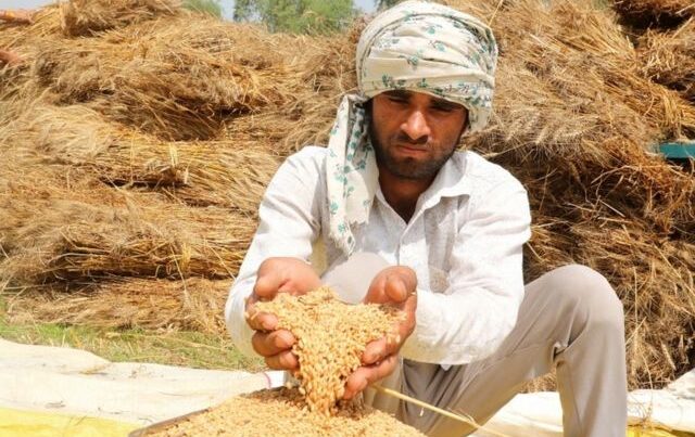 Hindistan və Pakistanda kəskin istilər dünyada TAXIL QITLIĞINA SƏBƏB OLACAQ – FOTO Hindistan və Pakistanda kəskin istilər dünyada TAXIL QITLIĞINA SƏBƏB OLACAQ – FOTO