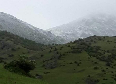 Azərbaycanın ən kasıb və ən varlı rayonları – SİYAHI