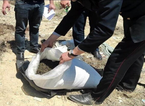 Penitensiar xidmət polislə birgə əməliyyat keçirdi – 19 kq narkotik AŞKAR OLUNDU
