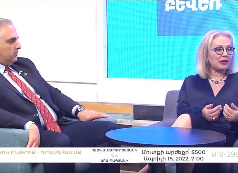 Surebyan: “Delimitasiya prosesi başlasa, bu marionet hökumət hər şeyi təslim edəcək”