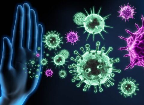 Alimlər immuniteti gücləndirməyin asan yolunu tapdı