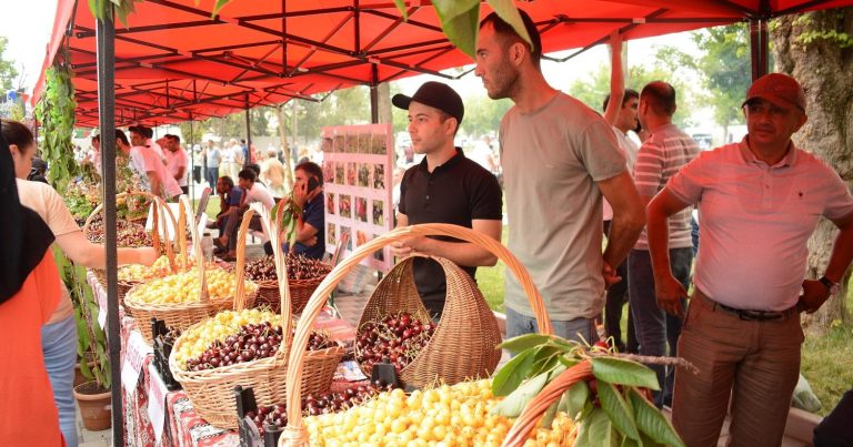 Azərbaycanda ilk dəfə “Albalı və gilas” festivalı keçirildi – FOTO Azərbaycanda ilk dəfə “Albalı və gilas” festivalı keçirildi – FOTO