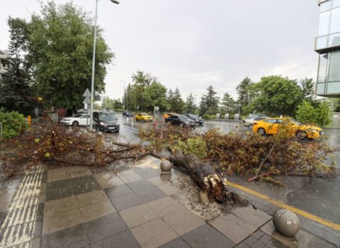 Ankarada təhsil müəssisələri bağlandı