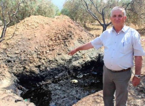 Ağacları suvarmaq üçün qazılan quyudan neft çıxdı – VİDEO