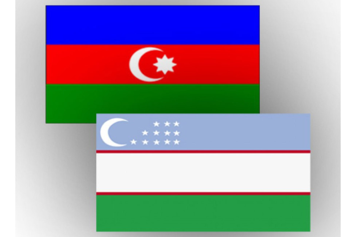 Azərbaycan-Özbəkistan əlaqələrinə həsr olunan onlayn konfrans keçirildi