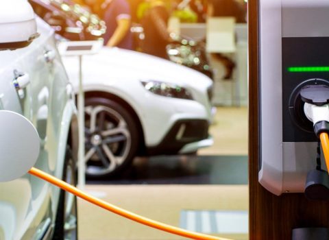 Azərbaycanda pikap və elektromobillər buraxılacaq – İLK DƏFƏ