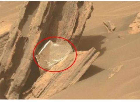 Marsda həyat izləri axtarırdılar, zibil tapdılar – FOTO