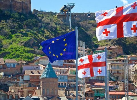 “Gürcüstana qarşı belə ədalətsiz Avropa görməmişəm” – GÜRCÜ DEPUTAT