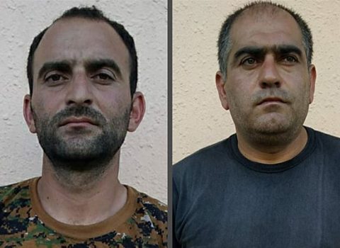 Meşədə narkotik plantasiyası salan şəxslər SAXLANILDI – FOTO