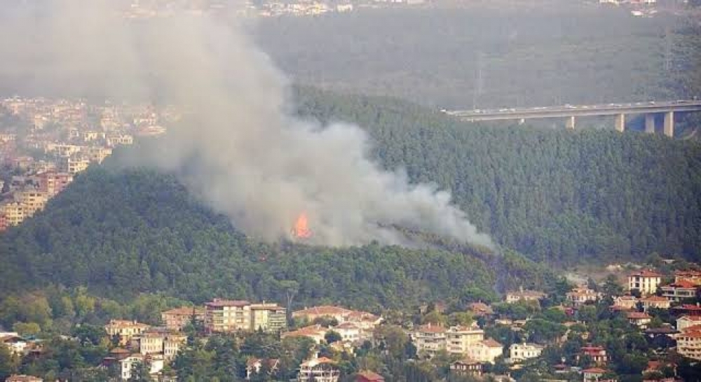 İstanbulda meşədə yanğın başlayıb