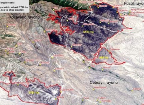 Xocavənd, Füzuli və Cəbrayılda yeddi min hektardan çox ərazi yandı